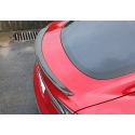 Carbon Heckspoiler Tesla Model S
