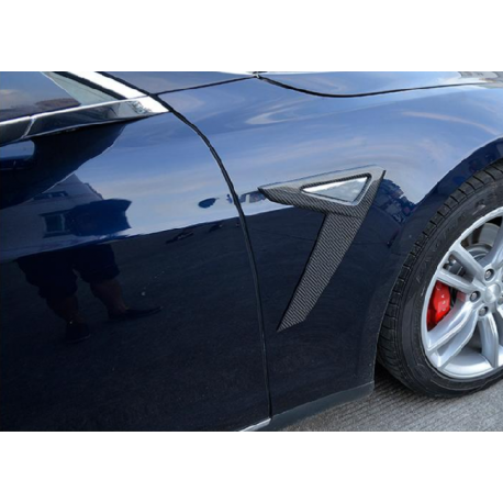 Carbon Spiegelabdeckungen Tesla Model S