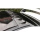 Carbon Dach Fin Vortex Mitsubishi EVO 10