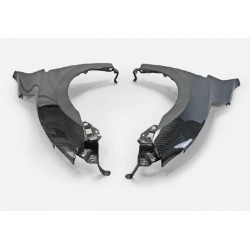 Kotflügel Carbon OEM Style Honda Civic Type R 2017-2019 2