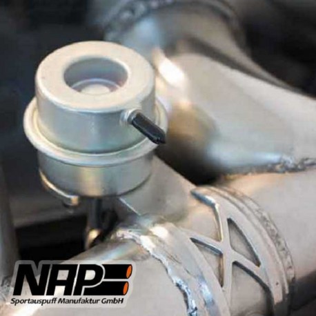 NAP Klappenauspuff-Anlage Infiniti FX50 (S51)