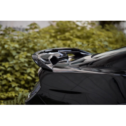 GT500 Carbon Heckspoiler Ford Mustang 2015+ 2