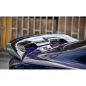GT500 Carbon Heckspoiler Ford Mustang 2015+