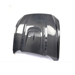 Carbon Motorhaube Ford Mustang GT 2015-2017 2