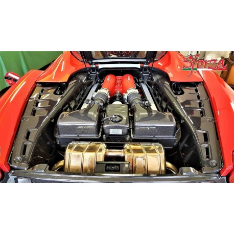 Carbon Motorabdeckungen L/R Ferrari F430