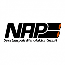NAP Klappenauspuff-Anlage Renault Mégane 3 RS