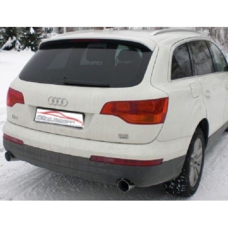 Friedrich Rohrsystem Audi Q7 4L FSI/TDI
