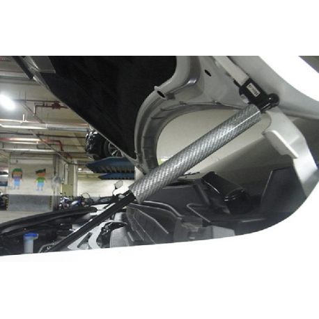 Carbon Haubendämpfer Suzuki Swift 2012