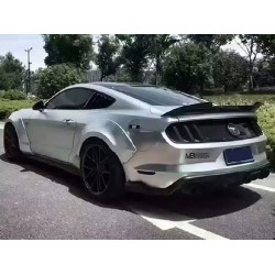 Carbon Heckspoilerl Race Ford Mustang 2014-