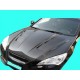 Carbon Sportgrill Hyundai Genesis 09-