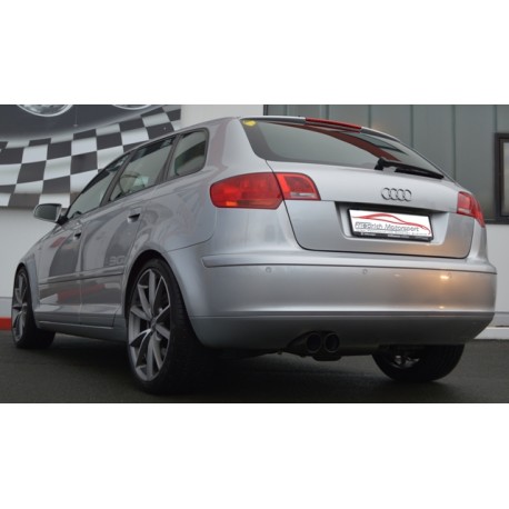 Friedrich Auspuffanlage Audi A3 8P TFSI