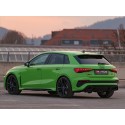 Remus Auspuffanlage Audi RS3 8Y OPF