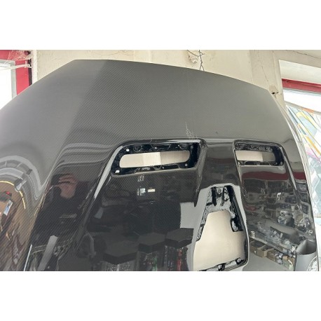 Carbon Motorhaube OEM EVO 10