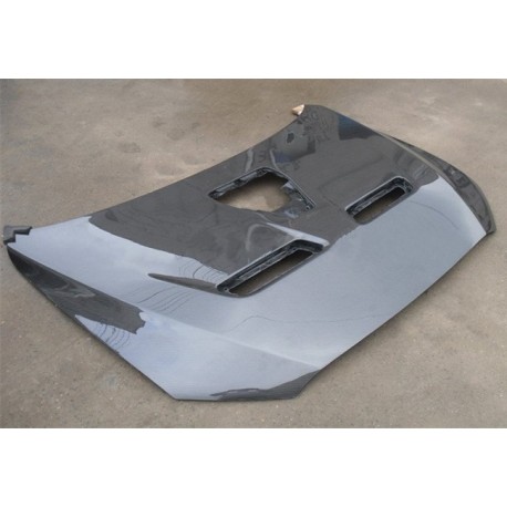 Carbon Motorhaube OEM EVO 10