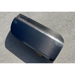 Carbon Türen Nissan 350Z