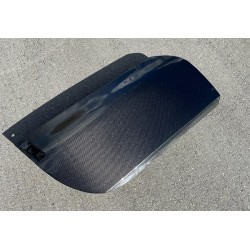 Carbon Türen Nissan 350Z 2