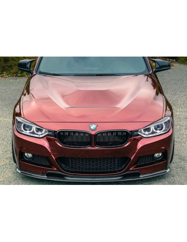 GTS Motorhaube Aluminium BMW 4er F32 F33 F36