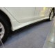 Carbon Seitenschwellerflaps Mitsubishi EVO 10