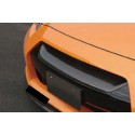 Carbon Grillabdeckung Nissan GT-R