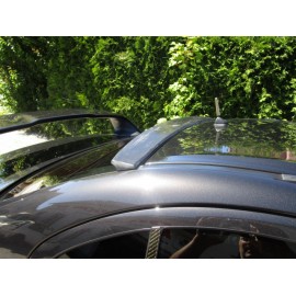 Dach Spoiler Acryl Mitsubishi EVO 10 2
