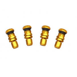 Ventil RAYS Wheels gold