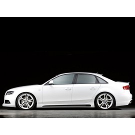 Rieger Seitenschweller Einsätze Carbon Audi A4 B8 09-11 2