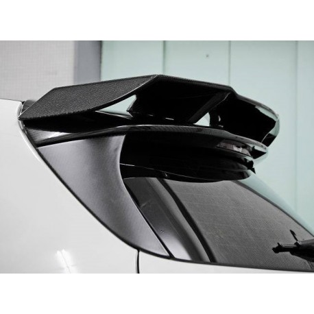 Carbon Dachspoiler Spoiler Heckspoiler für Mercedes-Benz A Klasse W176 A45  AMG