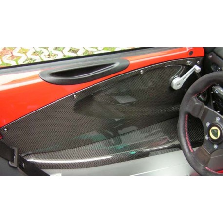 Carbon Türverkleidung Lotus  Elise 04-
