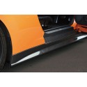 ZELE Performance Seitenschweller Carbon Nissan GT-R R35