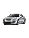 Genesis 09-