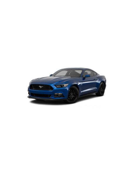 Mustang 14-